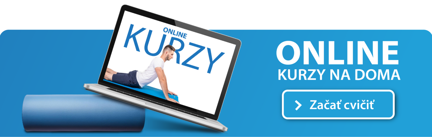 online kurzy baner